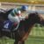 【競馬/宝塚記念】レイデオロ「秋は古馬3冠に行こうと思っていたけど、ルメールの兼ね合いもあるし、また考えます」