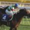 【競馬】宝塚記念(GⅠ) 枠順確定！レイデオロ2枠2番、キセキ1枠1番。12頭立て