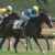 【競馬・ローズS】スイープトウショウ×ハーツクライ←これより夢の血統ってあるの？