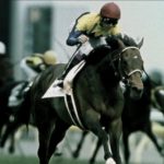 【競馬】アメトーーク!で五年ぶりに競馬芸人やったわけだが 【競馬】アメトーーク!で五年ぶりに競馬芸人やったわけだが