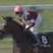 【競馬・秋華賞】カレンブーケドール津村…    君に…   一言…