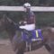 【競馬】帝王賞はルヴァンスレーヴが大穴開ける
