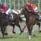 【競馬・鳴尾記念】福永ってなんでこんなに巧いの？