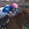 【競馬】デムーロってなんで干されてんの？スプリンターズS乗り馬なし