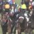 【競馬】カレンブーケドール春天へ　国枝「距離は何とも言えないけどね」