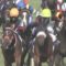 【競馬】天皇賞秋で本命サートゥルだったお前達のエリ女の本命は？