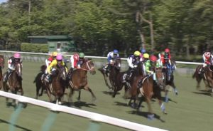 【競馬】10月の新潟開催ってマジでいらないだろ