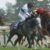 【競馬/ヴィクトリアM】競馬予想TVにて松本ヒロシ「ノームコアはスピードないからいらない」