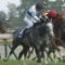 【競馬】ノームコア・クロノジェネシスって史上最強姉妹だろ