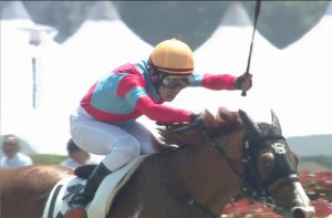 【競馬・アイビスSD】ライオンボス鞍上変更　→　田辺wwww