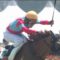 【競馬・愛知杯】悲報・・レッドランディーニ ハンデ52㎏ 騎乗予定の田辺が53㎏までしか減量できず騎手変更