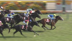 【競馬】京王杯SC売り上げ41億、サトノアレス除外で返還11億