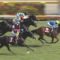 【競馬】京王杯SC売り上げ41億、サトノアレス除外で返還11億