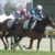 【競馬】川田どん詰まりｗｗｗｗｗｗｗｗｗｗｗｗｗｗｗｗ