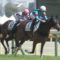 【競馬】川田どん詰まりｗｗｗｗｗｗｗｗｗｗｗｗｗｗｗｗ
