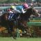 【競馬・安田記念】アドマイヤマーズの取捨は？