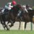 【競馬】キャロット２０１８産の募集価格発表。モーザリオ１億２０００万、モンハライト１億