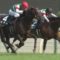 【競馬/ダービー】プリンシパルSを制したザダルはダービー回避決定