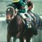 【競馬】アーモンドアイはジャパンカップを勝てるのか？