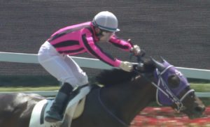 【競馬】内田博幸さん、土日合わせて１３も騎乗