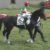 【競馬】JRA・G1「オイオイ」を糾弾！　サートゥルナーリア「興奮出遅れ」の裏にファンの大歓声が？