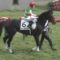【競馬】サートゥルナーリアの神戸新聞杯2週前追い切りがすごい…