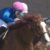 【競馬】デムーロ「美浦ならたくさん乗せて貰える！」←土日ともに中山で4鞍のみ(金杯乗鞍無し)