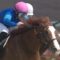 【競馬】デムーロさん、堀厩舎から完全に依頼が無くなってしまう