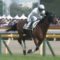 【競馬】令和初のダービー馬ロジャーバローズが屈腱炎で電撃引退
