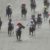 【競馬】土曜阪神1レース、スマートフルーレは化け物! 【競馬】土曜阪神1レース、スマートフルーレは化け物!