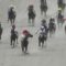 【競馬】悲報・・武豊、佐賀でもやらかす【佐賀サマーチャンピオン・1番人気スマートレイチェル4着】