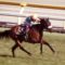 【競馬・安田記念】アーモンドアイ4枠5番ｗｗｗｗｗｗｗｗｗｗｗｗ