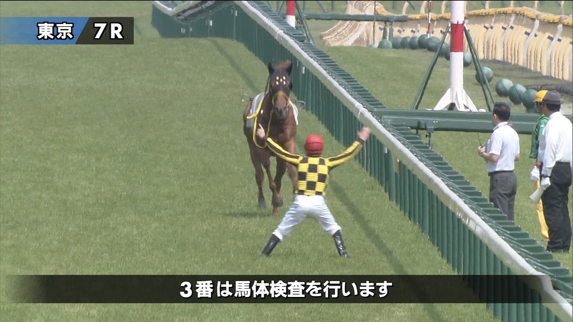 【競馬】[画像] 放馬したモズダディー止めようとするデムーロが完全に武田鉄矢ｗｗｗｗｗｗｗｗｗｗｗｗｗｗｗｗｗｗ