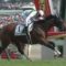 【競馬】ノーザン調教で馬壊しすぎだろ