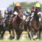 【競馬】キズナじゃなくてエピファに力いれたノーザンw