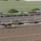 【競馬】JDDでキャロットのクリソベリルとヴァイトブリックvs西森のヒカリオーソとデアフルーグwwww