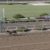 【競馬・日本テレビ盃】クリソベリル強すぎワロタwwwww