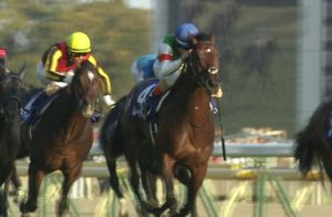 【競馬】即位の礼に天皇賞のサインがあると思うんやけど