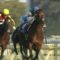 【競馬】即位の礼に天皇賞のサインがあると思うんやけど