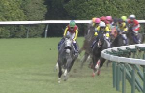 【競馬・有馬記念】悲報・・中山競馬場、アエロリットのグッズ売り切れの模様