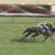 【競馬】おまえらオークスの直線で何て叫んだ？