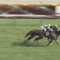【競馬】おまえらオークスの直線で何て叫んだ？