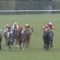 【競馬・ヴィクトリアM】枠順確定！アーモンドアイ6枠12番、ラヴズオンリーユー1枠1番、ノームコア8枠16番