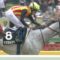 【競馬】騎手が乗ったシルヴァーソニック強すぎワロタｗｗｗｗｗｗｗｗｗｗｗｗｗｗｗ