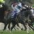 【競馬】ノームコア骨折