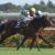 【競馬】キズナ産駒、めちゃくちゃ評判良い