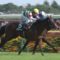 【競馬・オークス】ユーバーレーベンで岡田総帥遂にクラシック制覇！！！