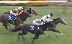 【競馬/ヴィクトリアM】クロコスミア買えたやつ