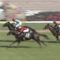 【競馬/葵S】ディアンドル　５連勝　なお騎手は全て違う