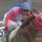 【競馬】新潟1レース、ペイシャドリームが美味しすぎる件
